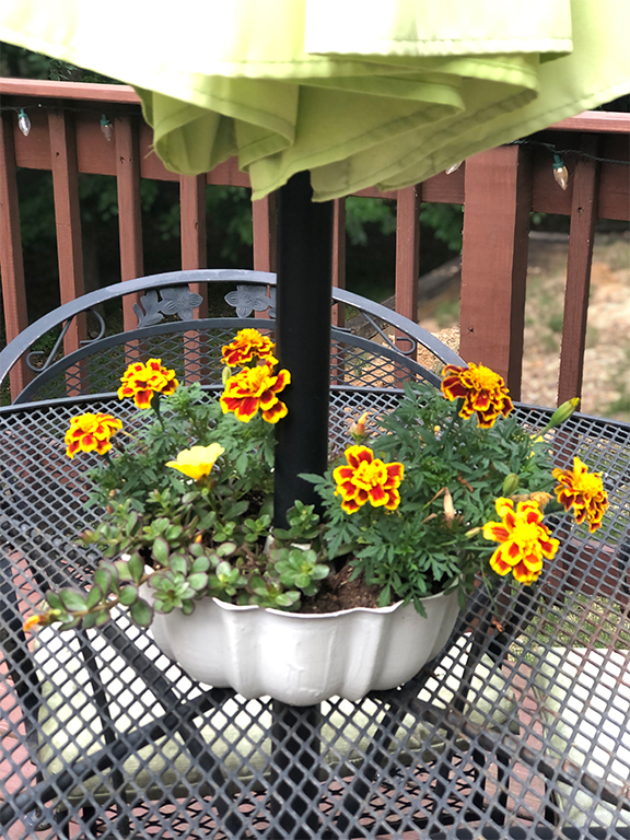 Bundt cake pan planter with yellow flowers on a patio table with umbrella